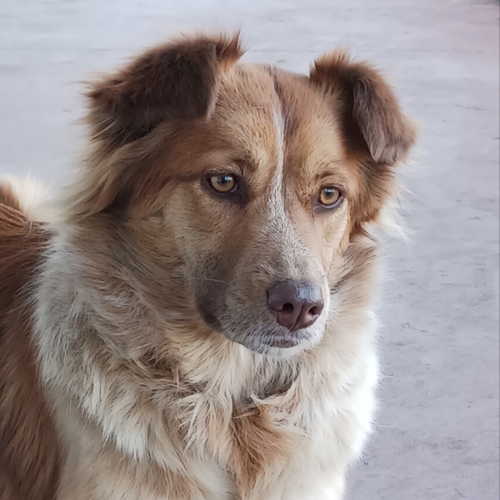 🐾THANK YOU!!🐾 - Picture 2 of 7